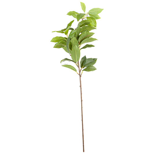 Laurel Leaf Spray - Single Stem Flowers from the Quanta Home collection.