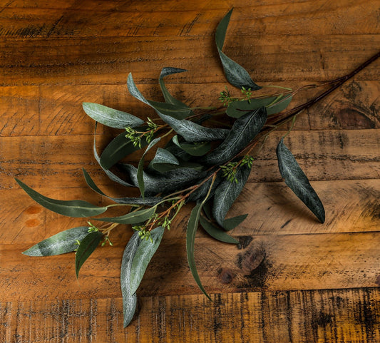 Seeded Eucalyptus Spray with realistic green leaves and seed pods, resting on a rustic wooden surface.