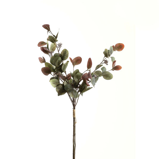 Variegated eucalyptus bouquet with sage green and ruby leaves, showcasing artistic depth and year-round vibrancy.