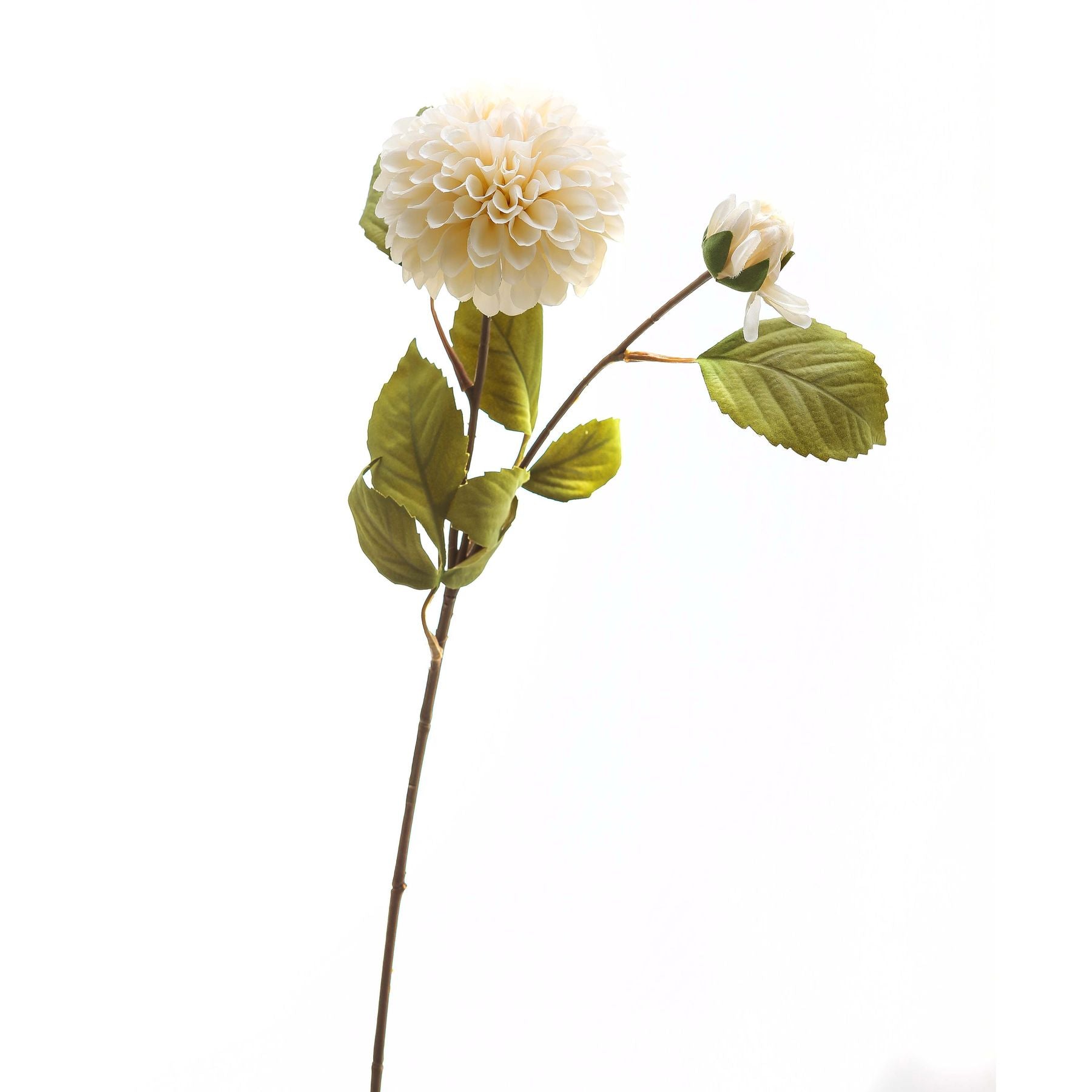 Pristine white dahlia flower with layered petals and a budding bloom, accented by green leaves on a slender stem.