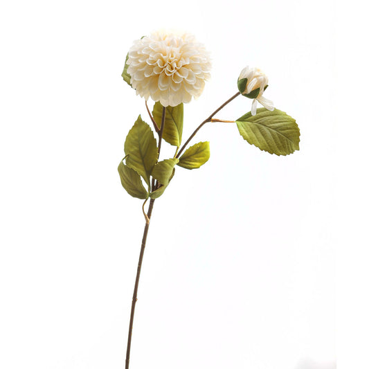 Pristine white dahlia flower with layered petals and a budding bloom, accented by green leaves on a slender stem.