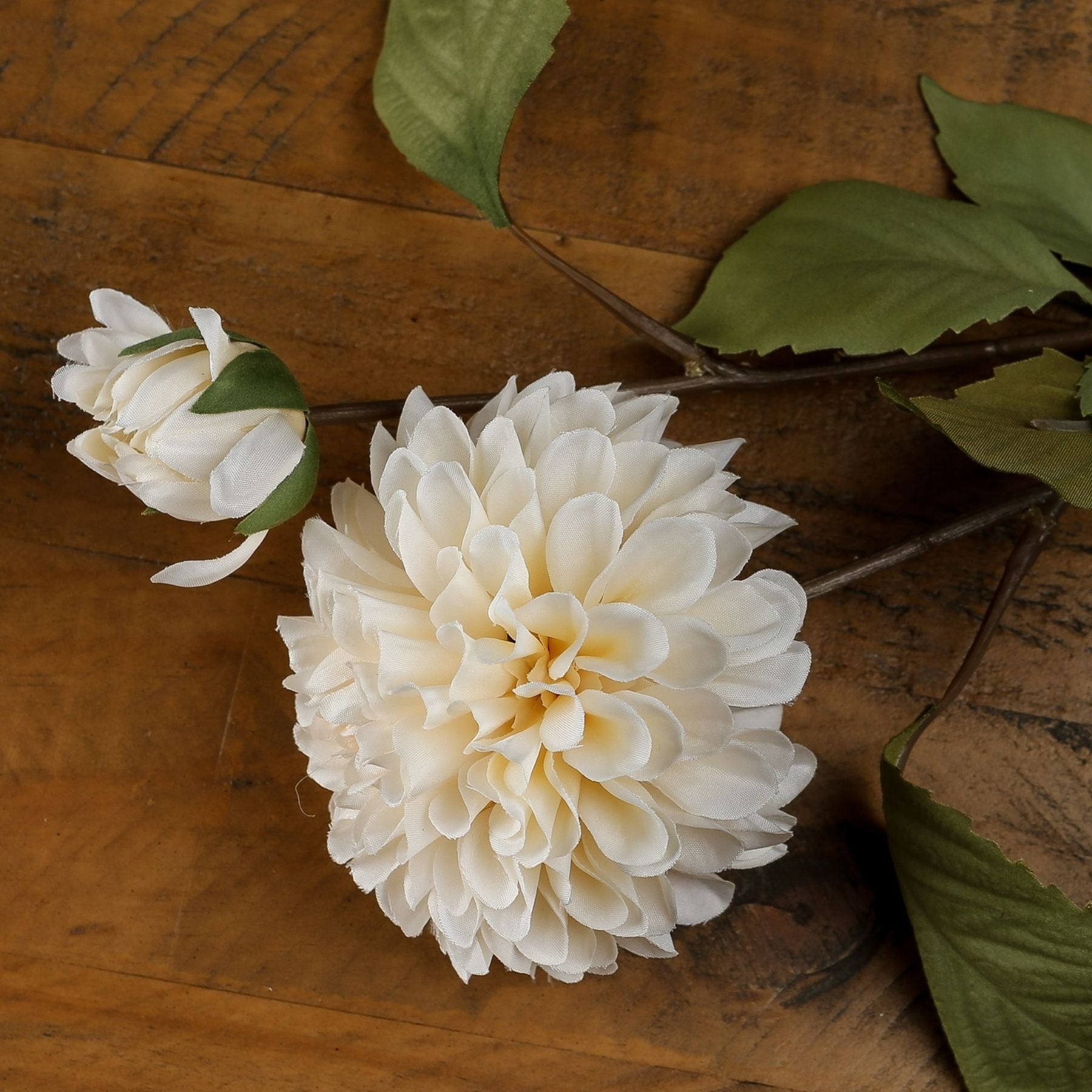 Pristine white dahlia stem with layered petals and green leaves, resting on a rustic wooden surface, perfect for elegant décor.
