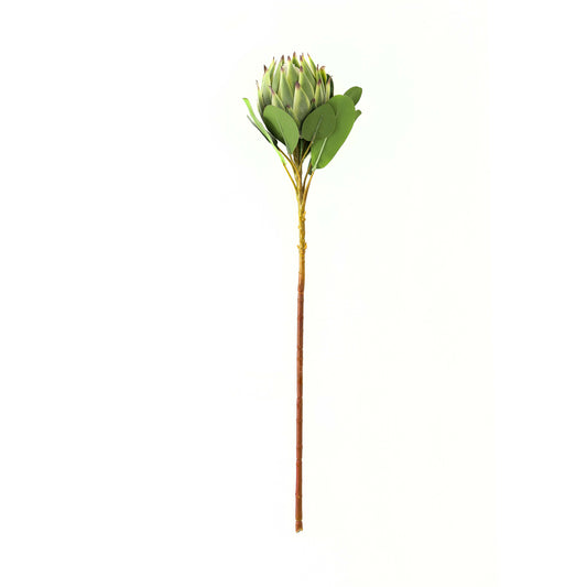 Large green protea stem with layered petals and lush green leaves, measuring 73cm, ideal for modern and traditional decor.
