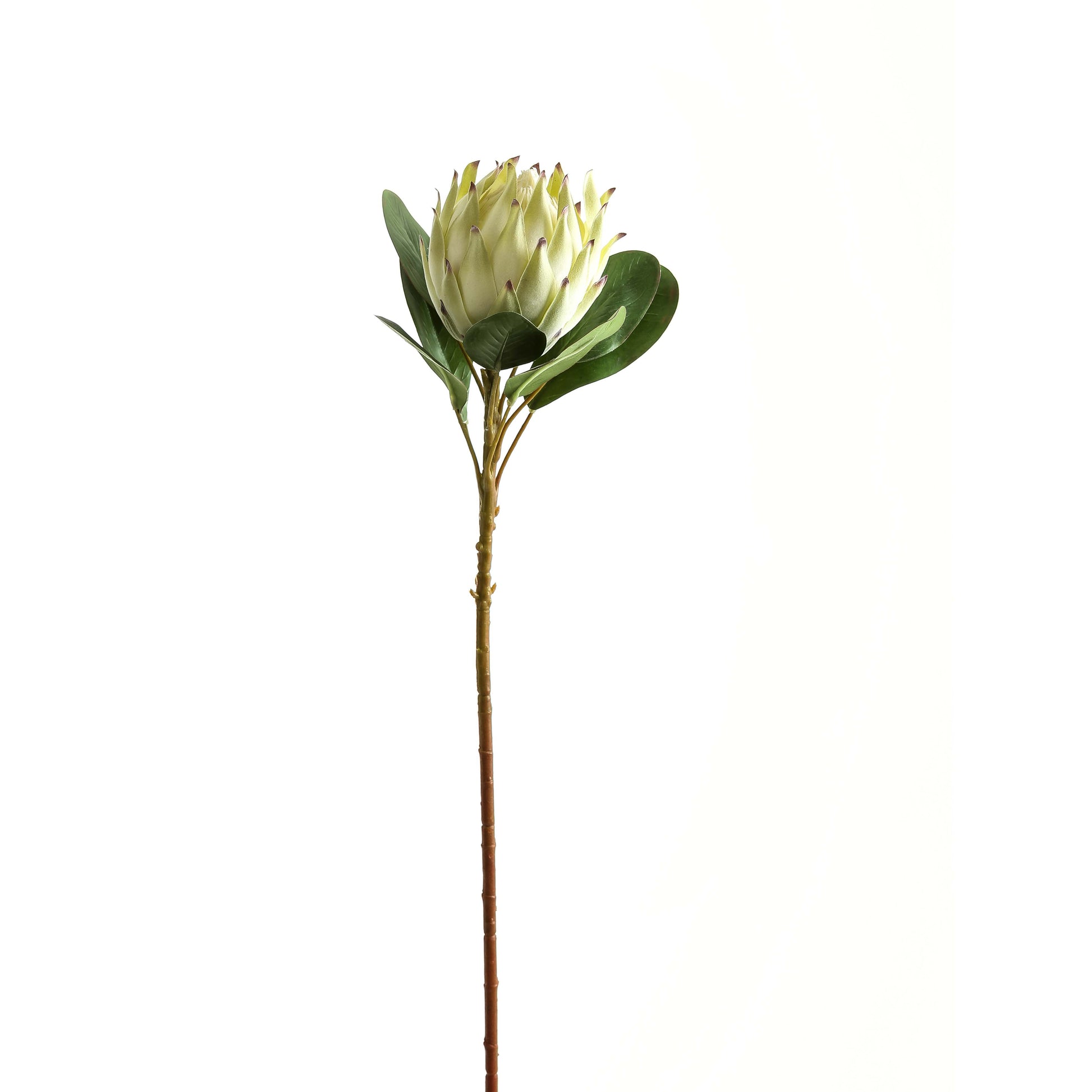 Large white protea with green leaves on a tall stem, showcasing lifelike details and elegant design for a sophisticated decor touch.