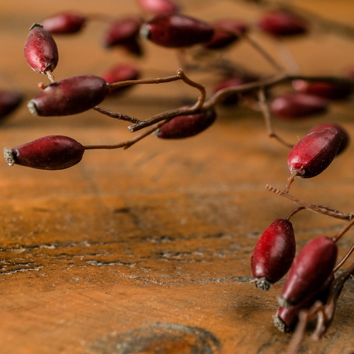 Burgundy Rosehip Stem - Festive Flowers & Foliage from the Quanta Home collection.