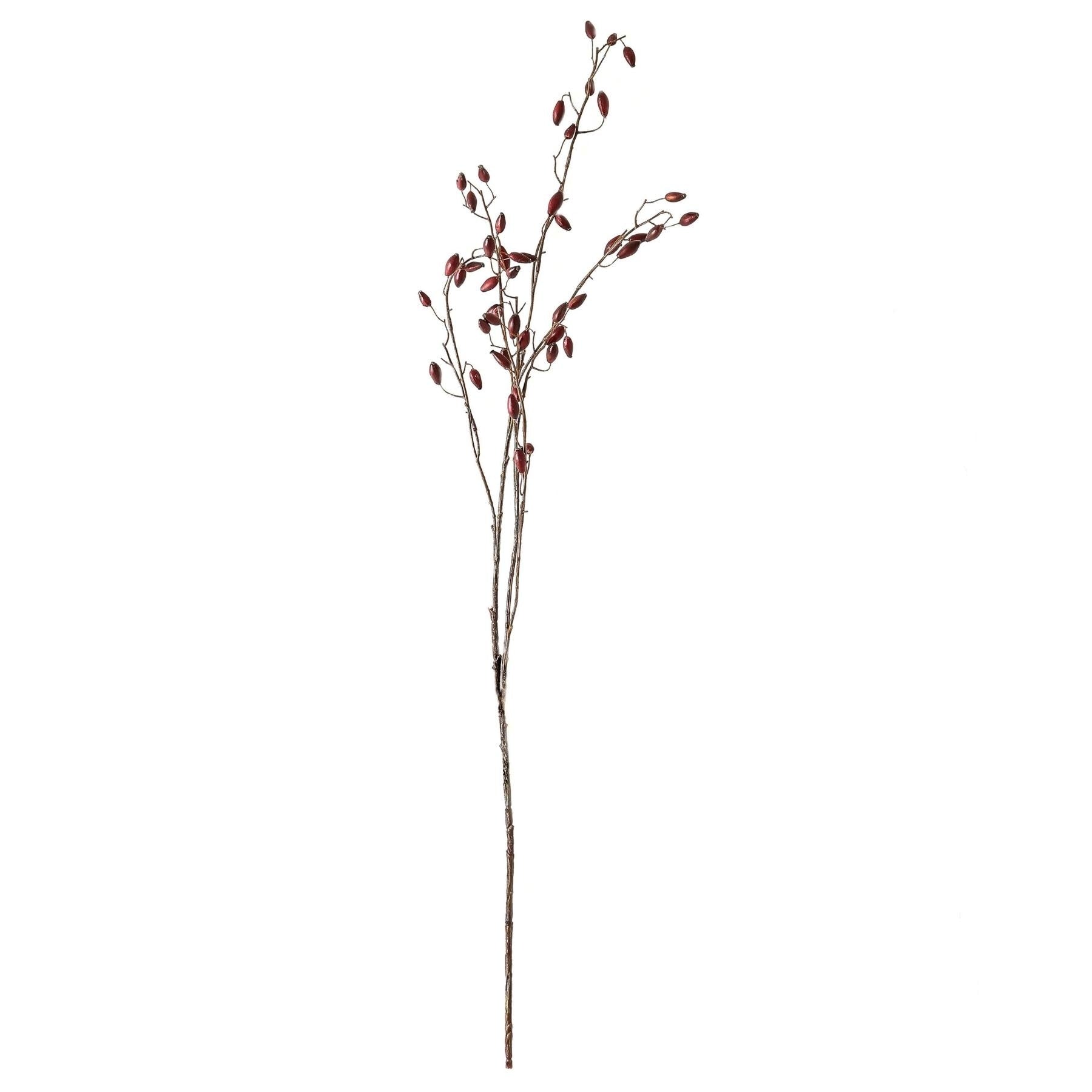 Burgundy Rosehip Stem - Festive Flowers & Foliage from the Quanta Home collection.