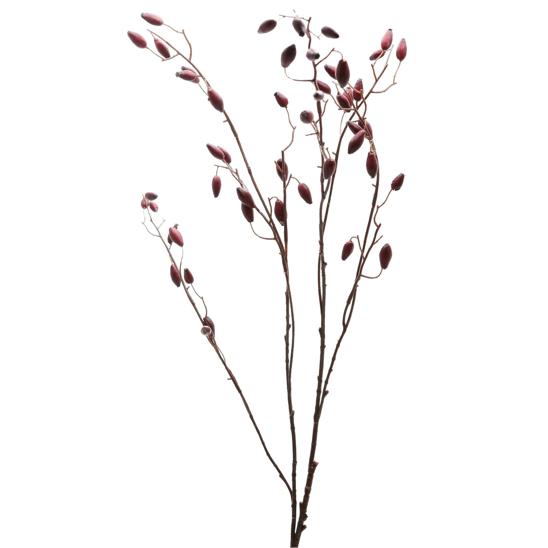 Burgundy Rosehip Stem - Festive Flowers & Foliage from the Quanta Home collection.