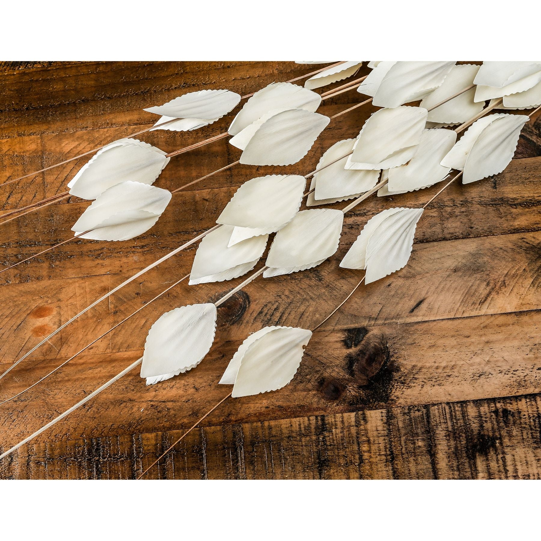 Bouquet Of Dried Thlaspi Arvense - Dried Flowers from the Quanta Home collection.