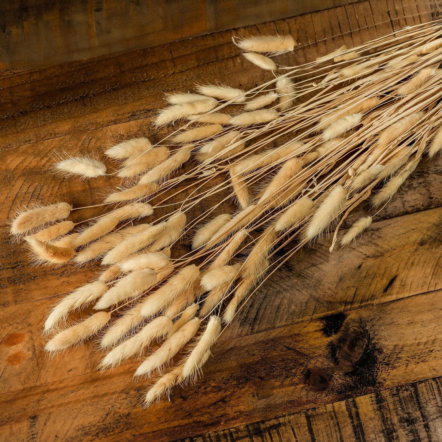 Bouquet Of Tall Bunny Tails - Coastal Inspired from the Quanta Home collection.
