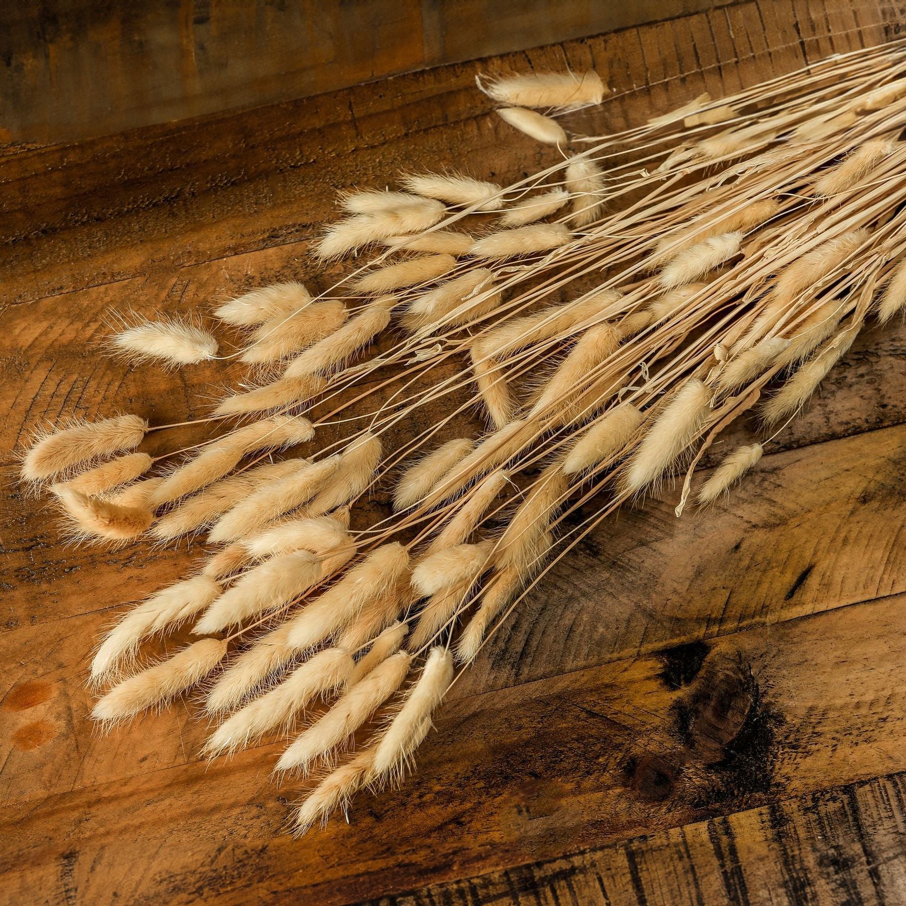 Bouquet Of Tall Bunny Tails - Coastal Inspired from the Quanta Home collection.