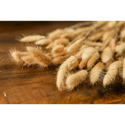 Bouquet Of Tall Bunny Tails - Coastal Inspired from the Quanta Home collection.