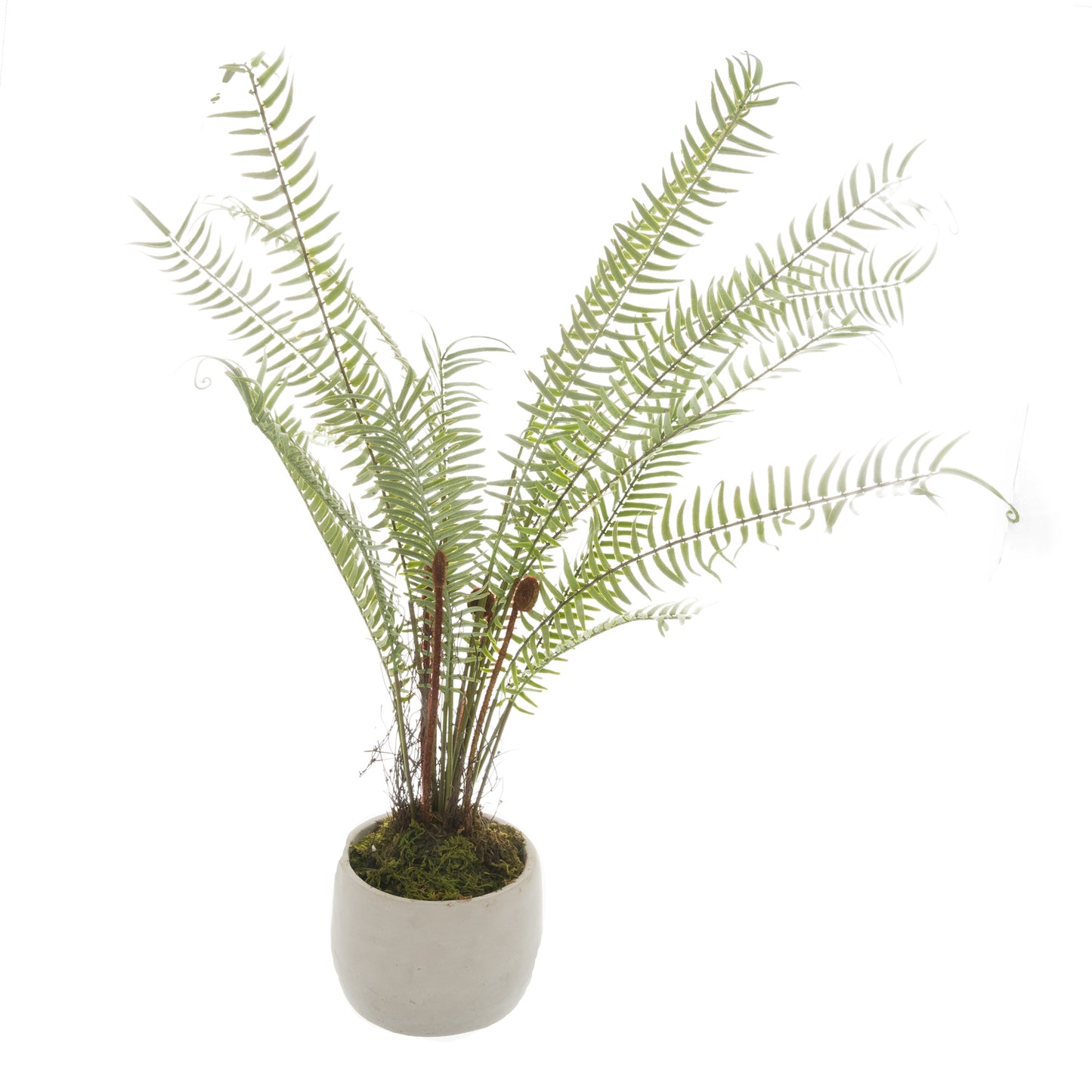 White Potted Boston Fern - All Artificial Potted Plants from the Quanta Home collection.