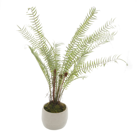 White Potted Boston Fern - All Artificial Potted Plants from the Quanta Home collection.