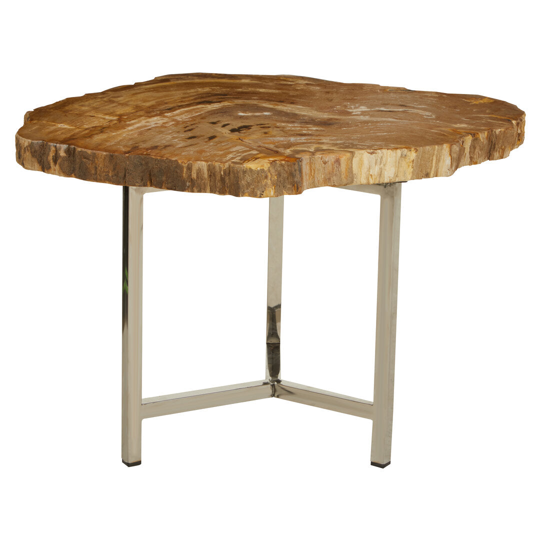 Artifact Small Petrified Wood Side Table