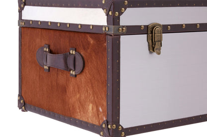 Chelsea Townhouse Brown And White Genuine Cowhide Storage Trunk