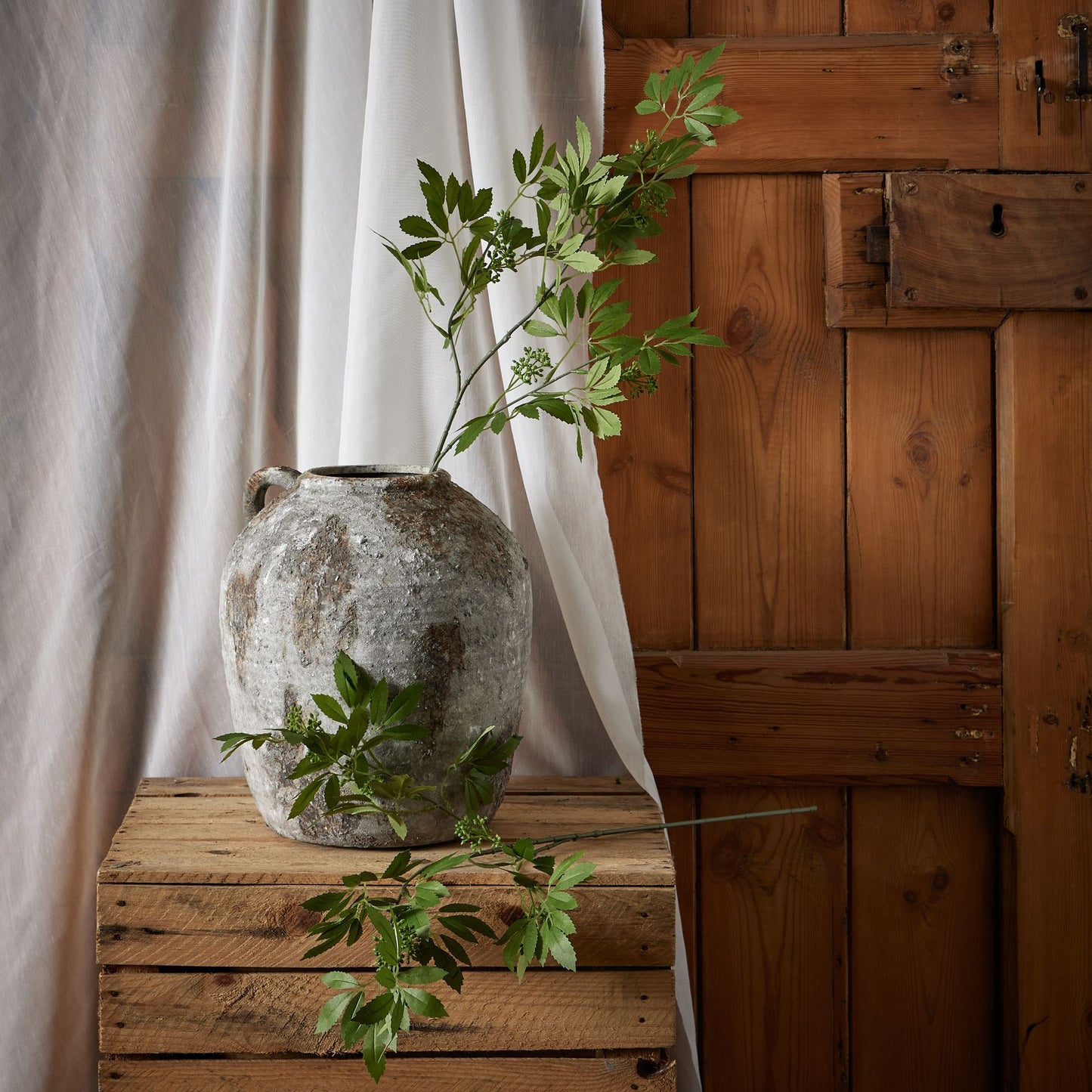Long fennel stem in a textured grey vase, featuring intricate green foliage, elegantly enhancing rustic decor.