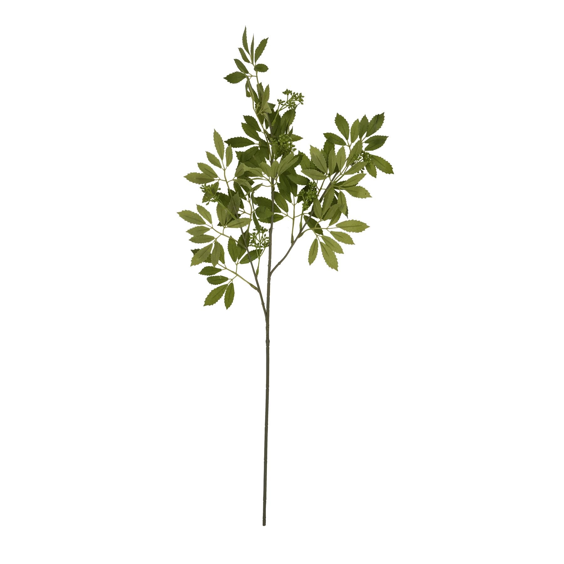 Long fennel stem with realistic soft green foliage and a slender, flexible stem, perfect for elegant floral arrangements.