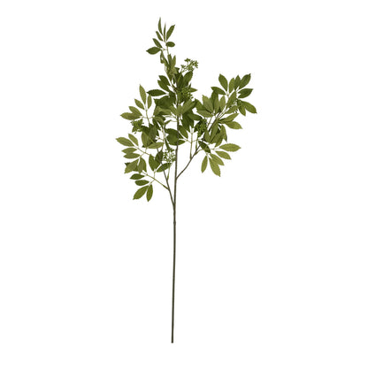 Long Fennel Stem - Single Stem Flowers from the Quanta Home collection.