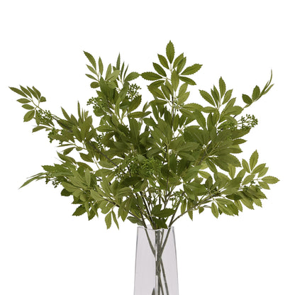Long Fennel Stem - Single Stem Flowers from the Quanta Home collection.