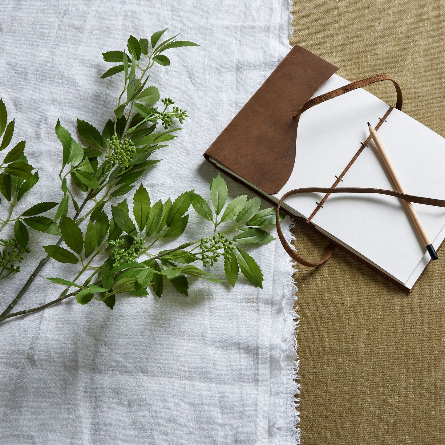 Long green fennel stem with intricately detailed leaves, resting on a textured white and beige background next to a leather-bound notebook.