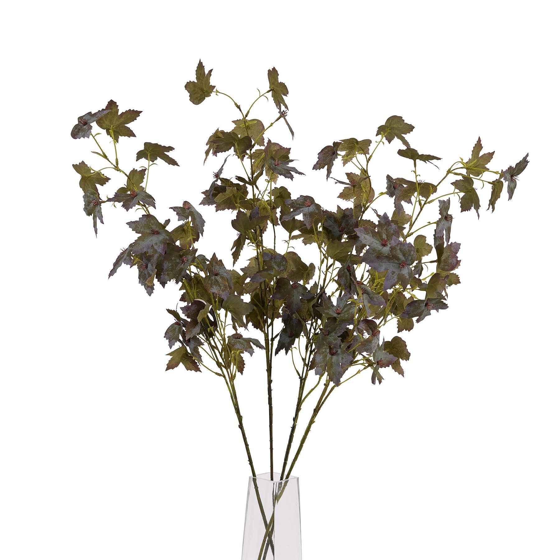 Variegated maple leaves in lush green, amber, and burgundy hues, elegantly arranged on delicate stems for autumn décor.