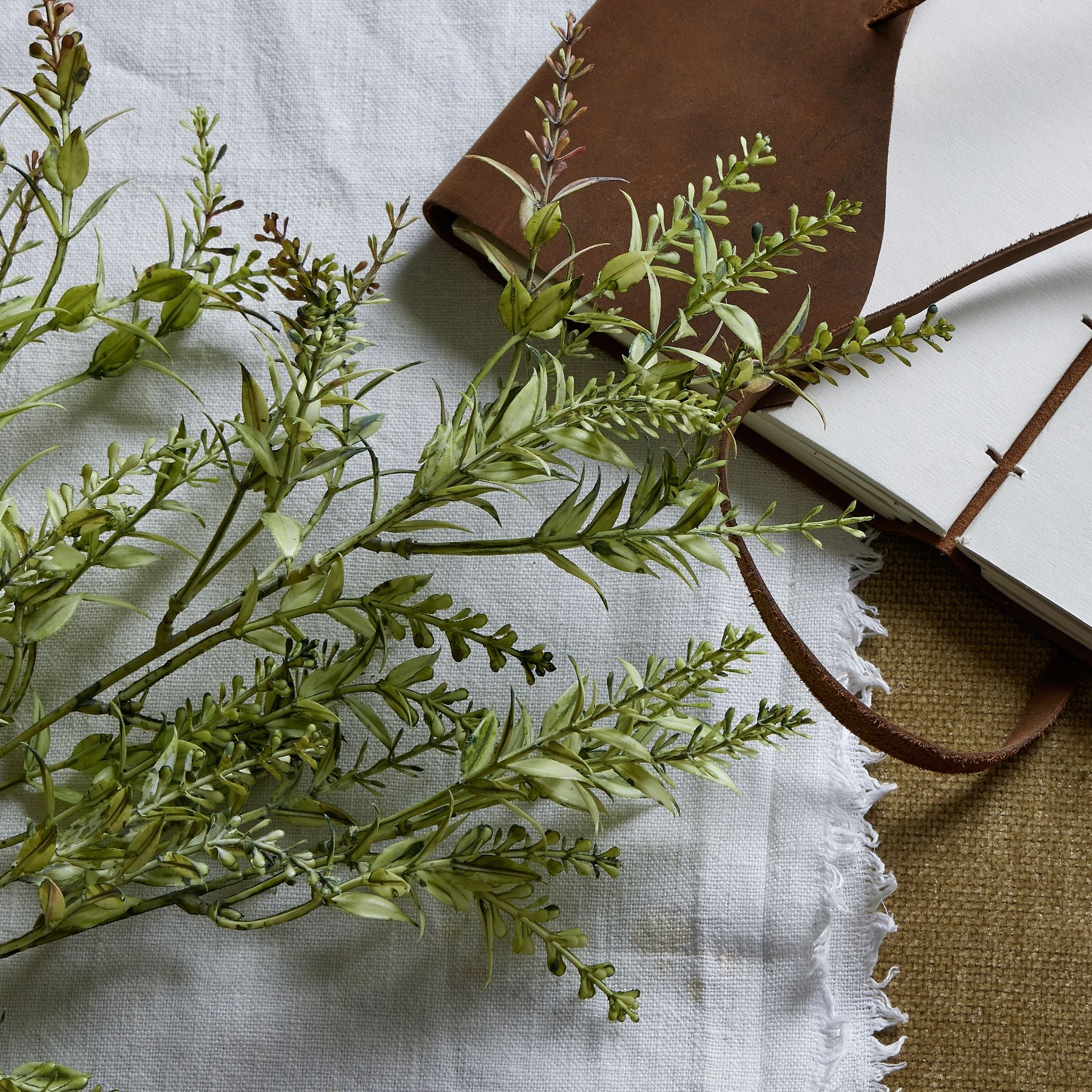 Broom stem in lush green with organic textures, laid on a textured white cloth next to a brown leather journal.