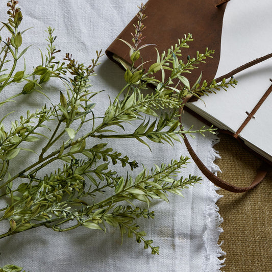 Broom stem in lush green with organic textures, laid on a textured white cloth next to a brown leather journal.