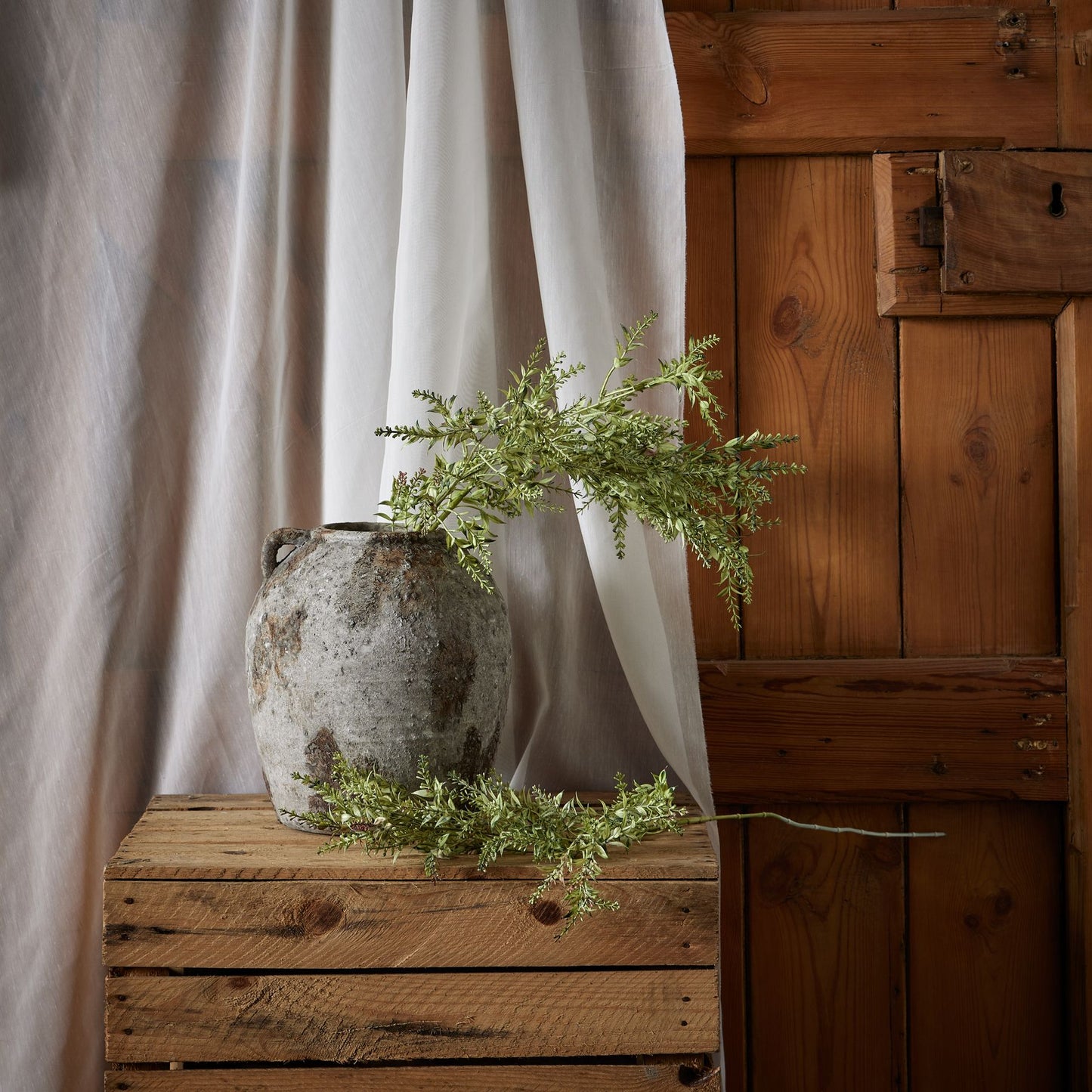 Green broom stem with organic texture, elegantly arranged in a rustic gray vase atop a wooden crate, framed by soft drapery.