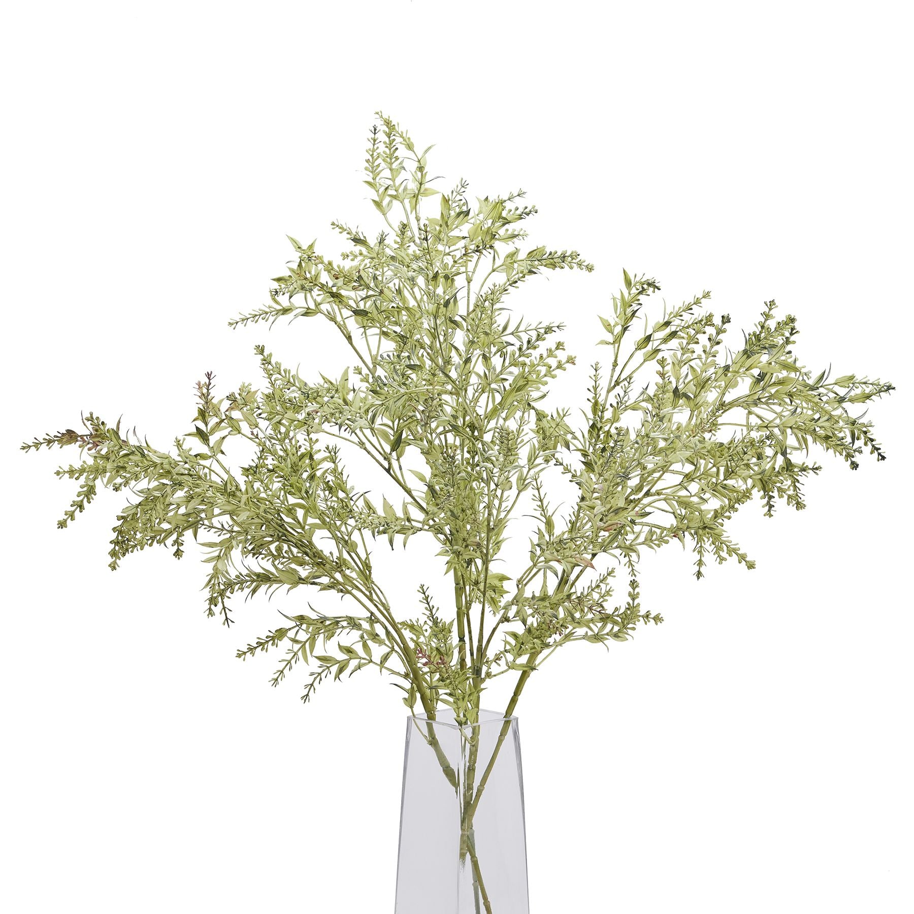 Green broom stem with delicate, flowing strands in a clear vase, offering rustic charm and natural elegance for any decor.