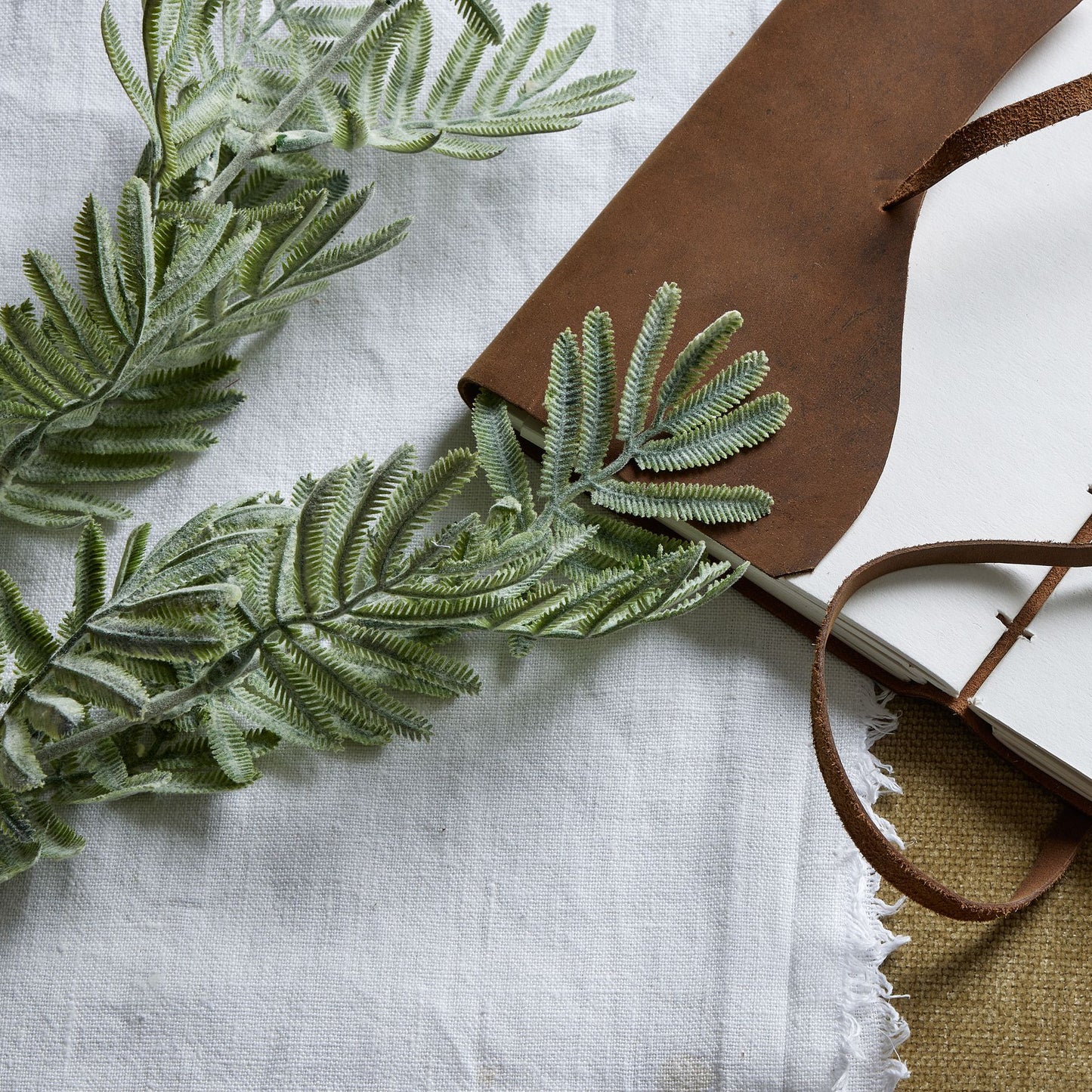 Silver Wattle Leaf - Festive Flowers & Foliage from the Quanta Home collection.