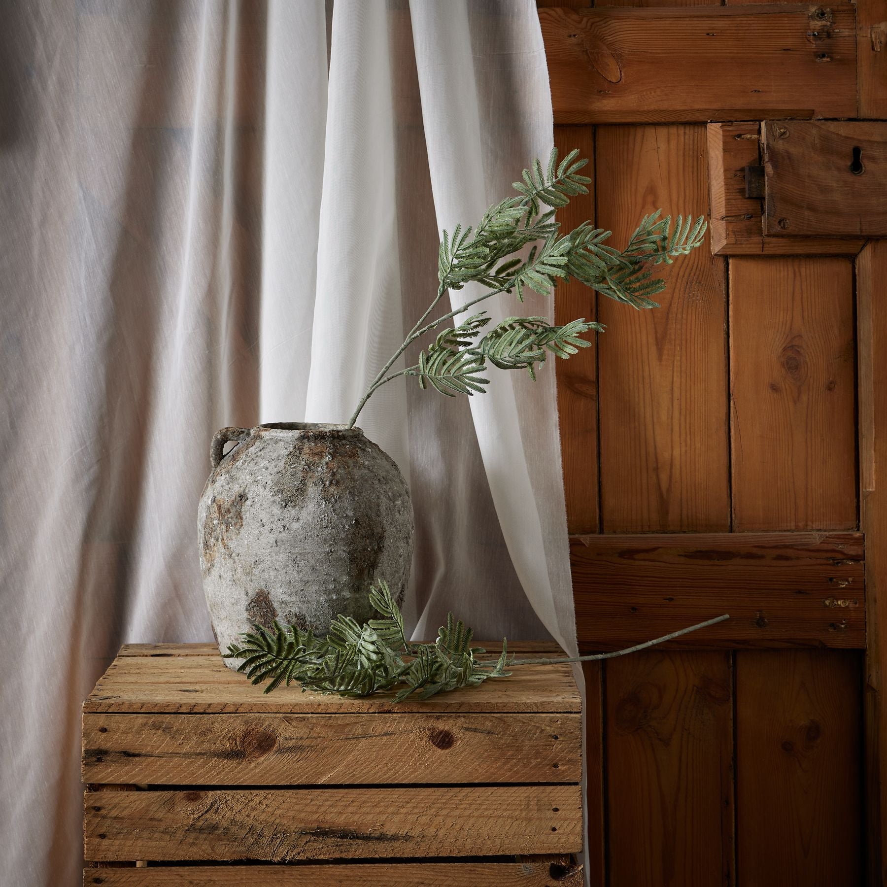 Silver Wattle Leaf - Festive Flowers & Foliage from the Quanta Home collection.