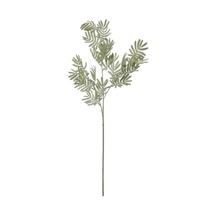 Silver Wattle Leaf - Festive Flowers & Foliage from the Quanta Home collection.
