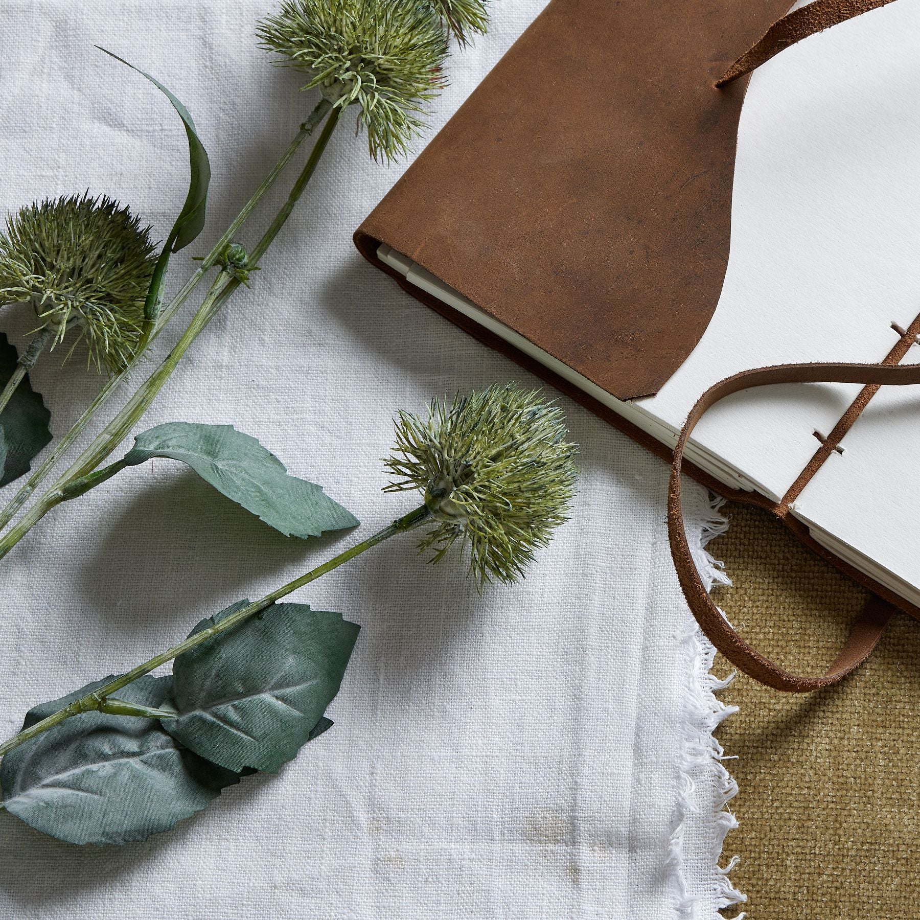 Sculptural green thistle globe stem with textured spherical head and slender leaves, resting beside a leather-bound notebook.