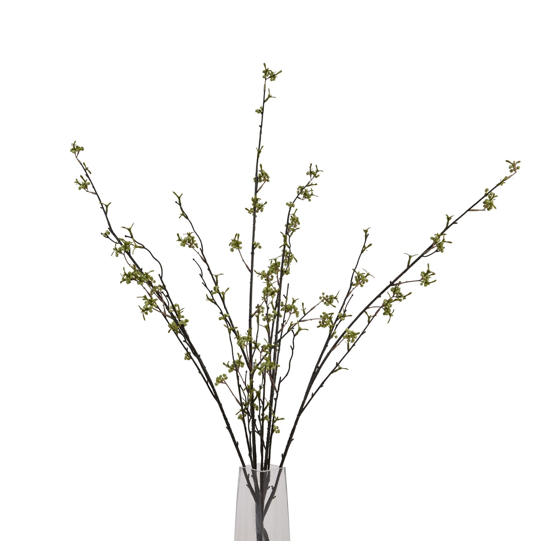 Elegant green berry willow stem with realistic branches and delicate green buds, displayed in a clear vase against a white background.