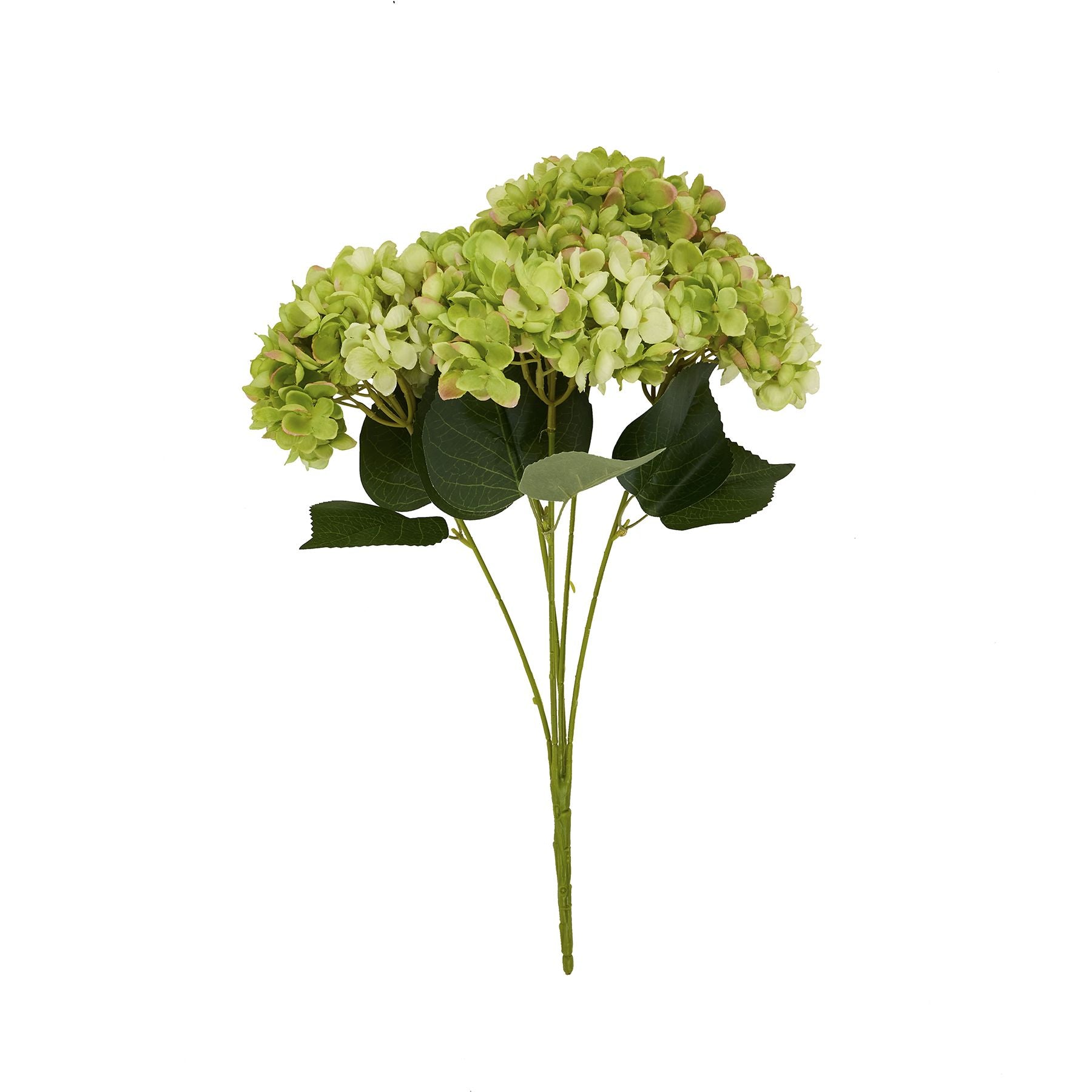 Hand-painted green hydrangea stem with lush leaves, adding natural elegance and a touch of sophistication to any decor.