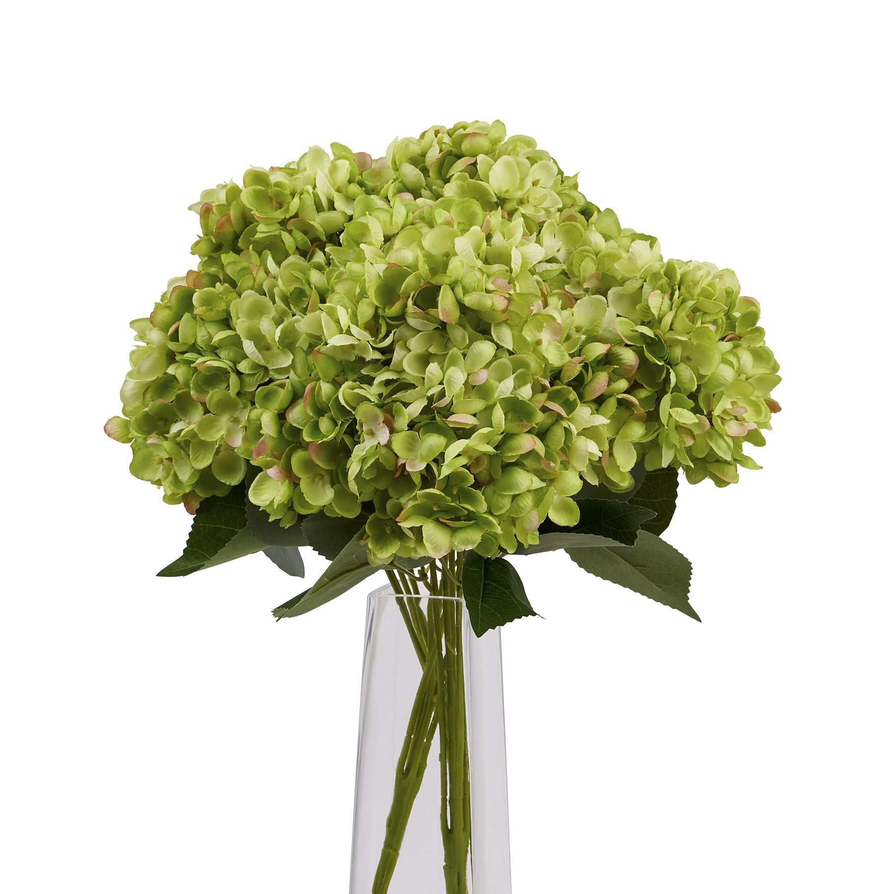 Lush green hydrangea bunch with hand-painted petals, showcasing organic elegance in a modern vase, perfect for stylish decor.