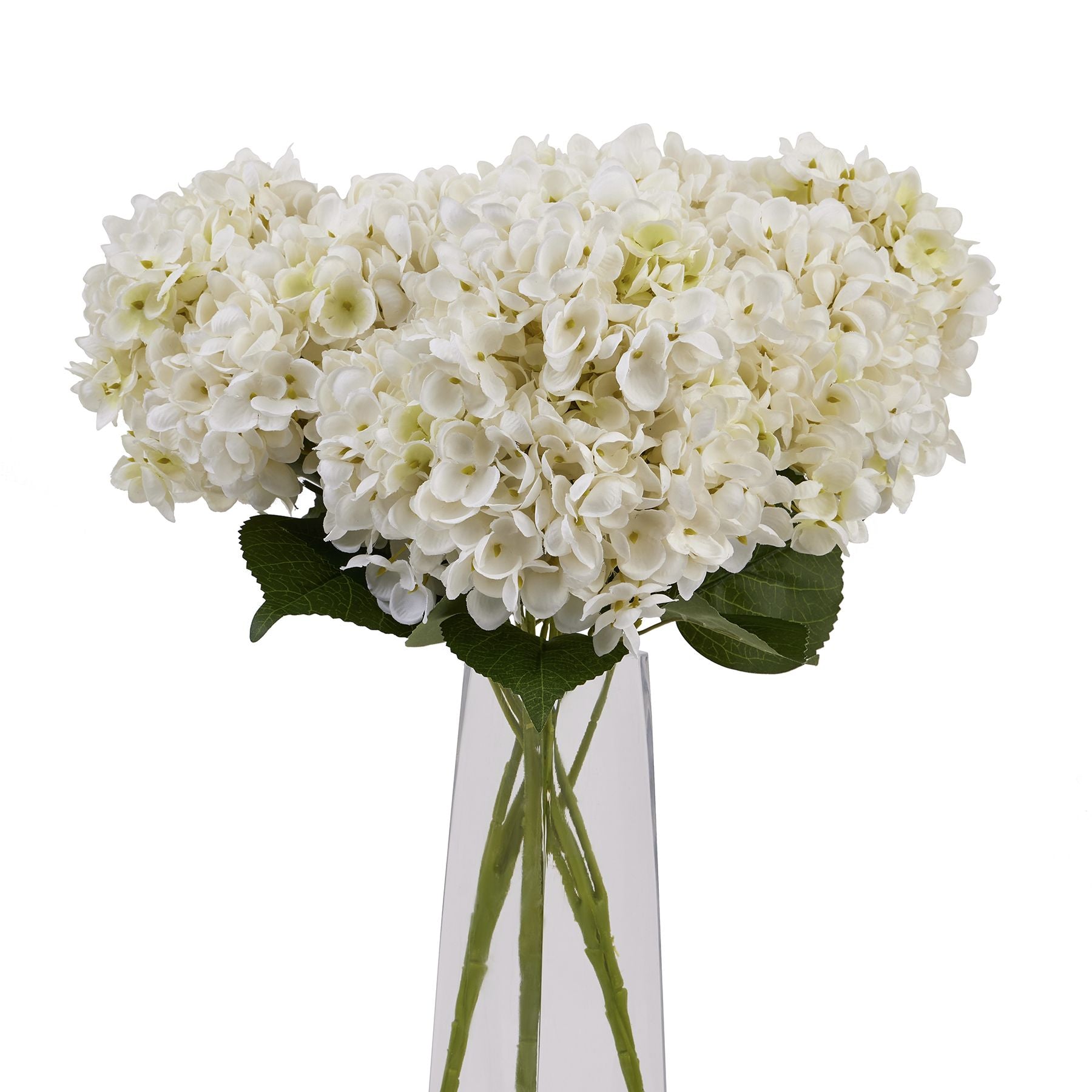 Luxurious white hydrangea bunch with intricate petals and green leaves, beautifully arranged in a sleek vase.