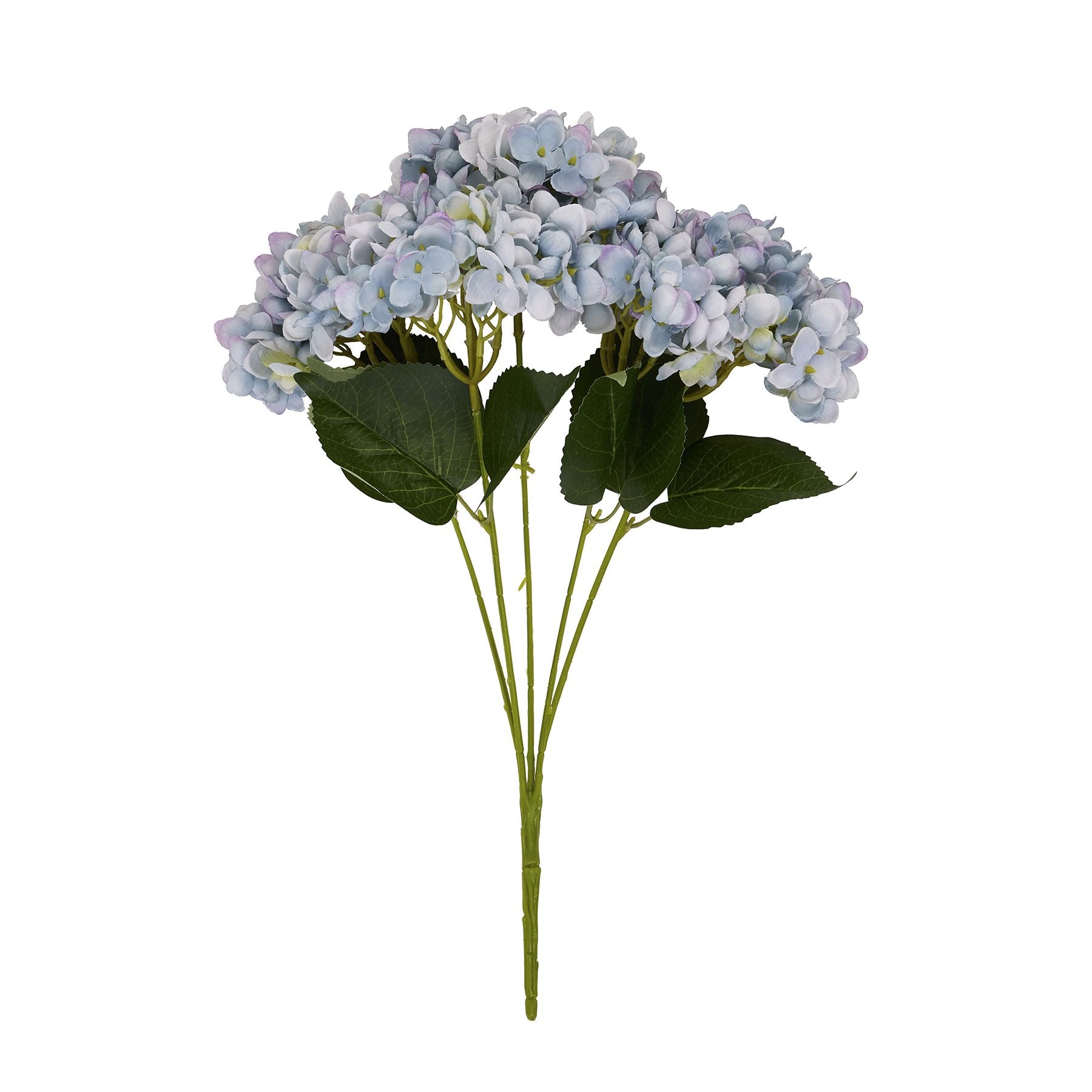 Lush blue hydrangea bunch with delicate blooms and green leaves, perfect for elegant home decor and maintenance-free beauty.