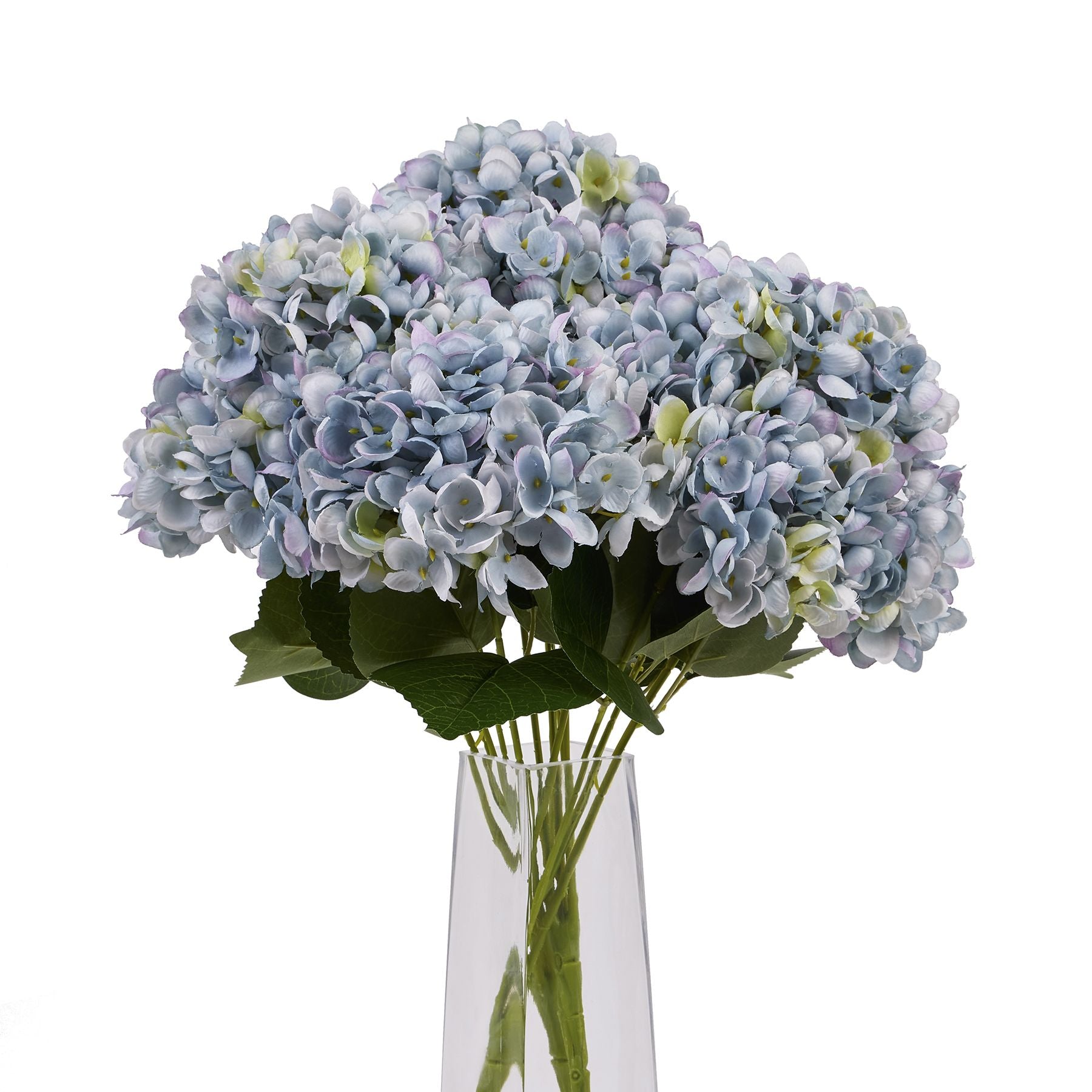 Vibrant blue hydrangea bunch with lush petals and green leaves, elegantly arranged in a sleek clear vase.