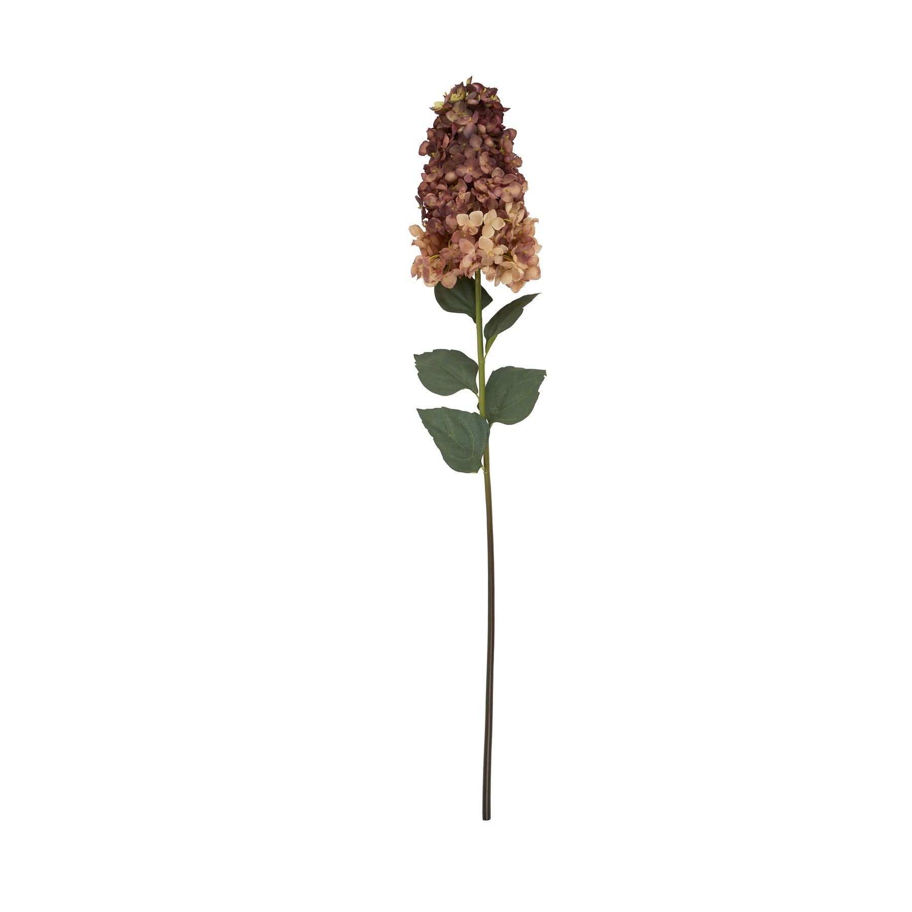Deep burgundy hydrangea bloom on a slender stem, accented by green leaves, perfect for adding elegance to any decor.