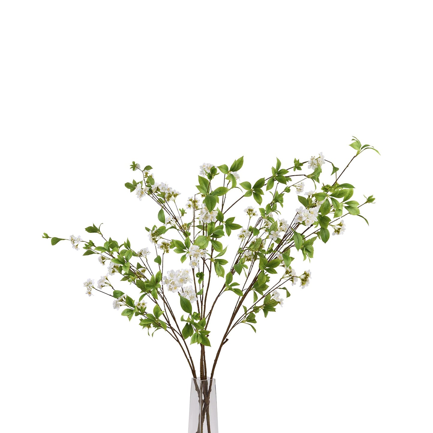 Tall mock orange spray featuring glossy green leaves and delicate white petals, enhancing elegant floral arrangements.