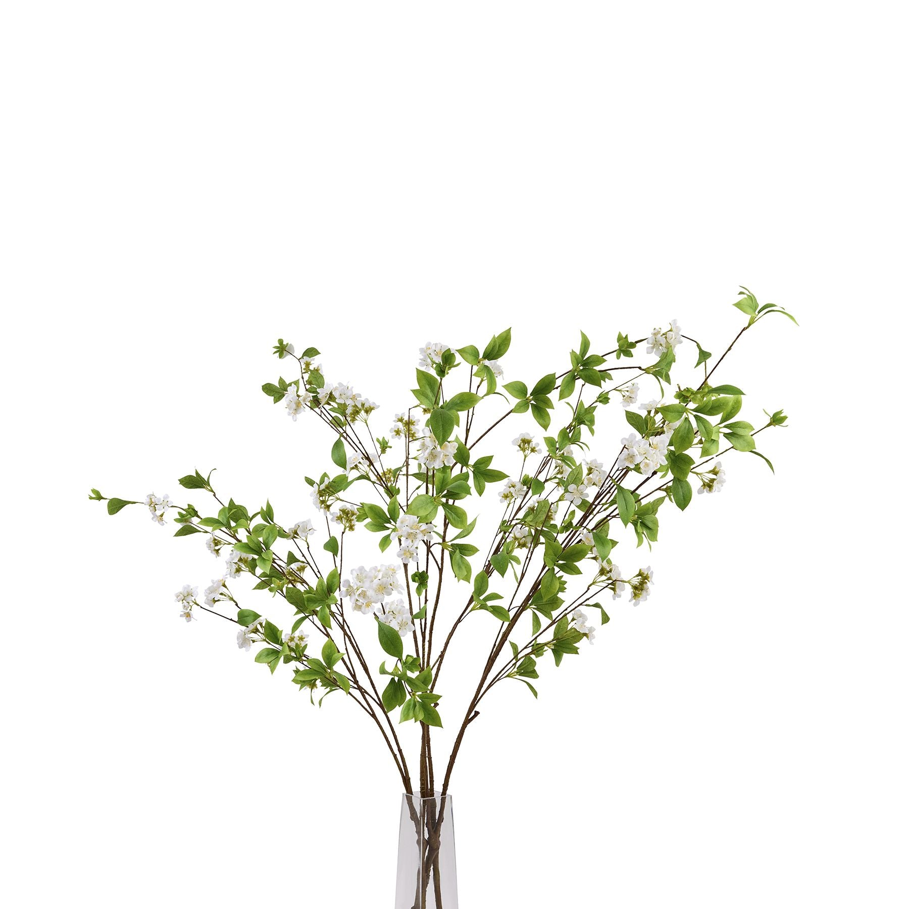 Tall mock orange spray featuring glossy green leaves and delicate white petals, enhancing elegant floral arrangements.