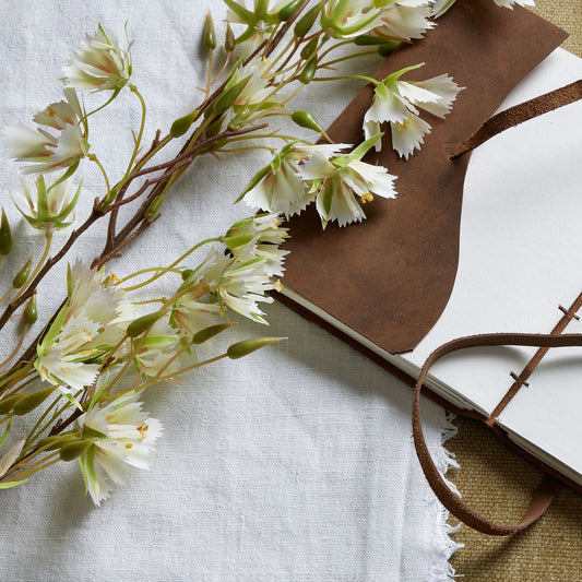 Elaeocarpus Stem with finely textured leaves and white flowers, resting on a light fabric, paired with a brown leather-bound notebook.