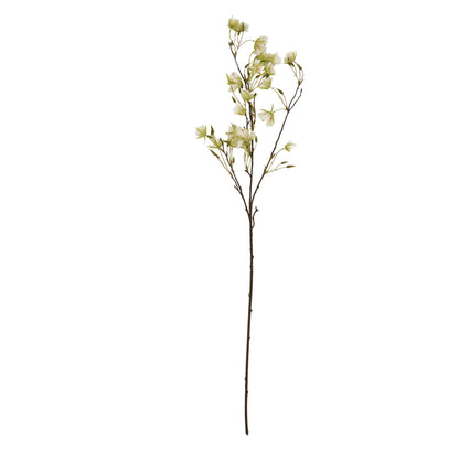 Elaeocarpus Stem - Spring Stems from the Quanta Home collection.