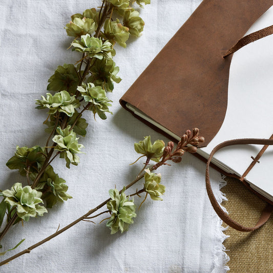 Slim green hops stem with delicate foliage, resting on a textured white cloth alongside a brown leather notebook.
