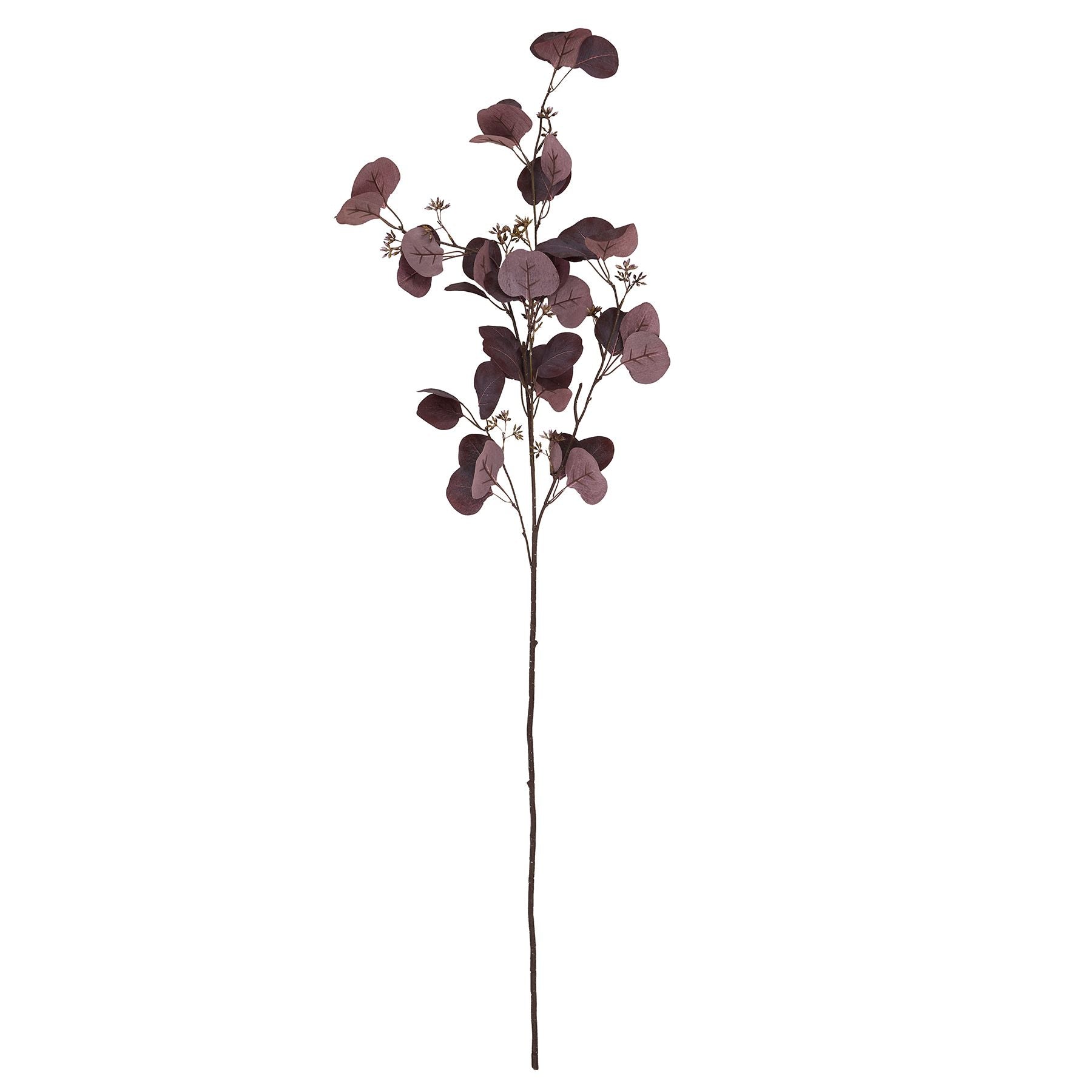 Burgundy berried eucalyptus with deep burgundy leaves and delicate berry accents on a slender stem, ideal for autumn decor.