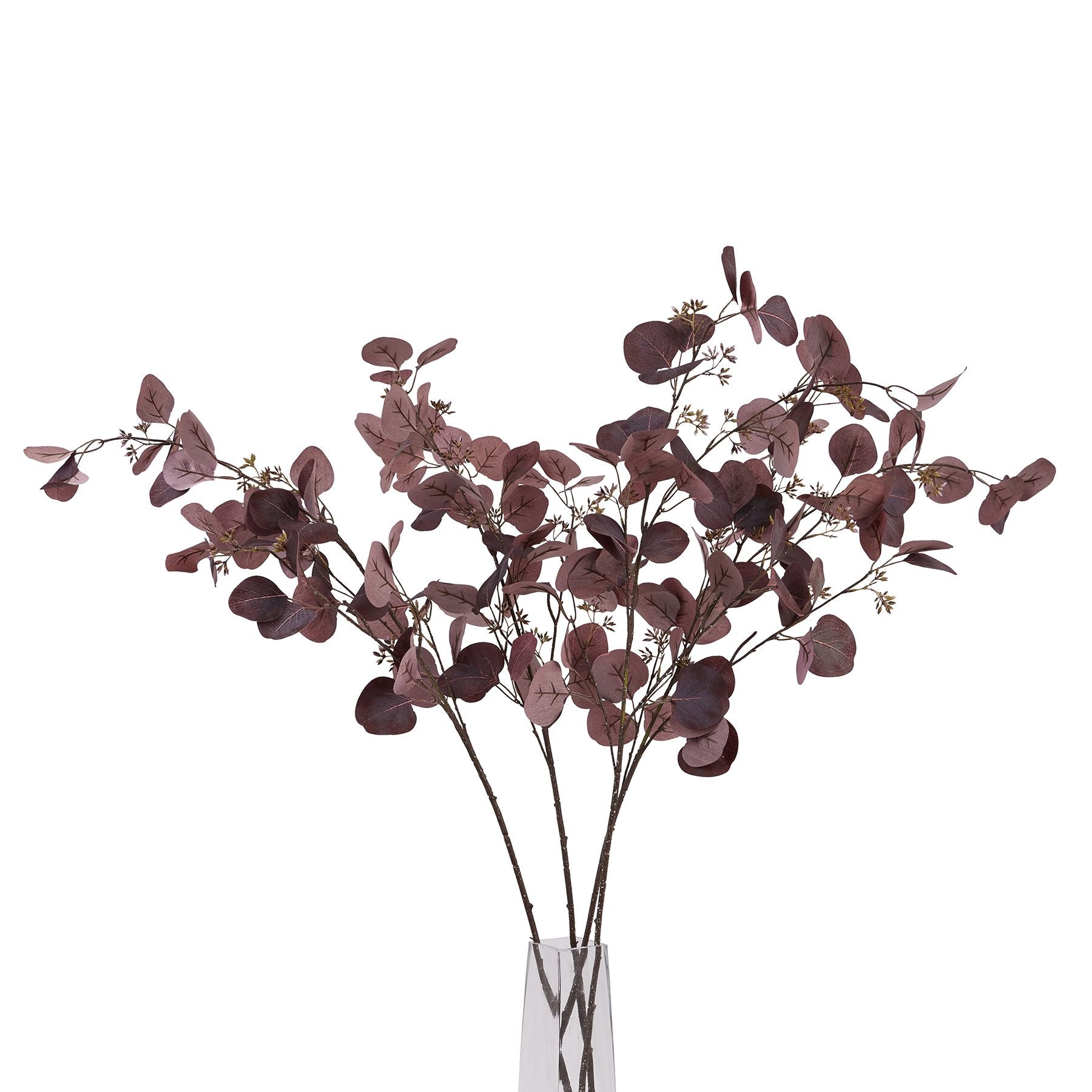 Burgundy berried eucalyptus stem showcasing deep red hues and delicate berries, ideal for autumn decor and elegant arrangements.