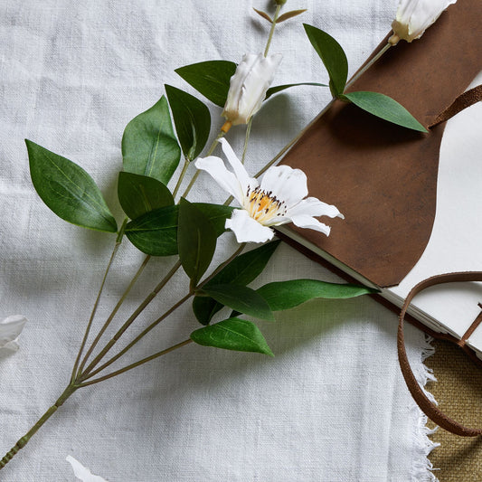 Elegant white clematis stem with detailed petals and lush green leaves, styled on a textured neutral backdrop. Perfect for decor.