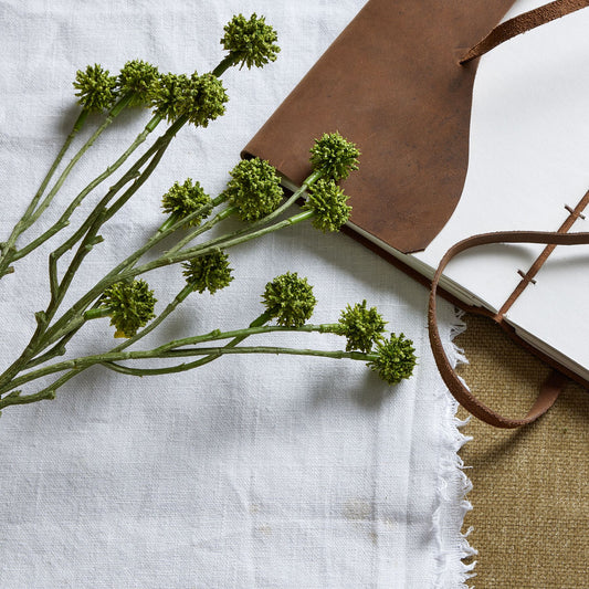 Sage-green Green Craspedia Stem with spherical blooms, resting beside a leather-bound notebook on a textured background.
