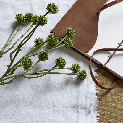 Green Craspedia Stem - Single Stem Flowers from the Quanta Home collection.